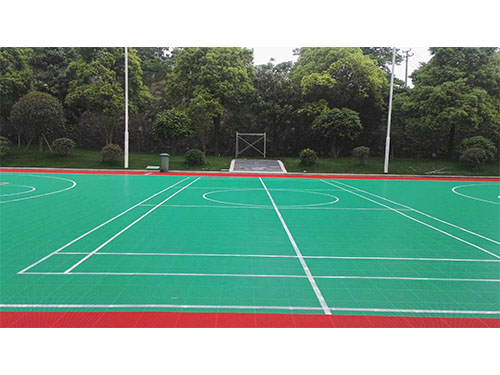 湘潭岳塘公安分局項目